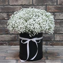 Цветочная композиция из Гипсофила в шляпной коробке #REPLACE_PRED# Подосинки
