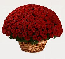 Премиум букет из: Розы в Подосинки